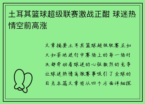 土耳其篮球超级联赛激战正酣 球迷热情空前高涨